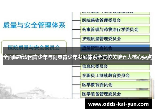 全面解析埃因青少年与阿贾青少年发展体系全方位关键五大核心要点 全面解析埃因青少年与阿贾青少年发展体系全方位关键五大核心要点