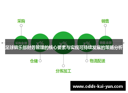 足球俱乐部财务管理的核心要素与实现可持续发展的策略分析