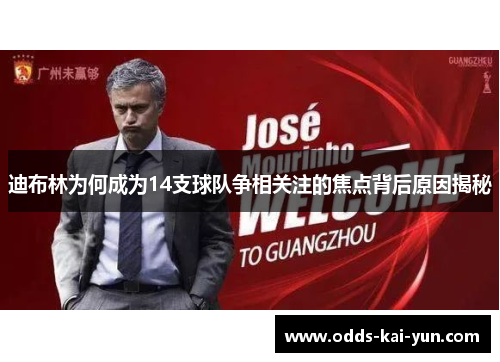 迪布林为何成为14支球队争相关注的焦点背后原因揭秘