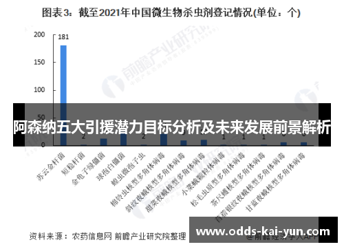 阿森纳五大引援潜力目标分析及未来发展前景解析 阿森纳五大引援潜力目标分析及未来发展前景解析