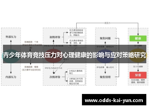 青少年体育竞技压力对心理健康的影响与应对策略研究